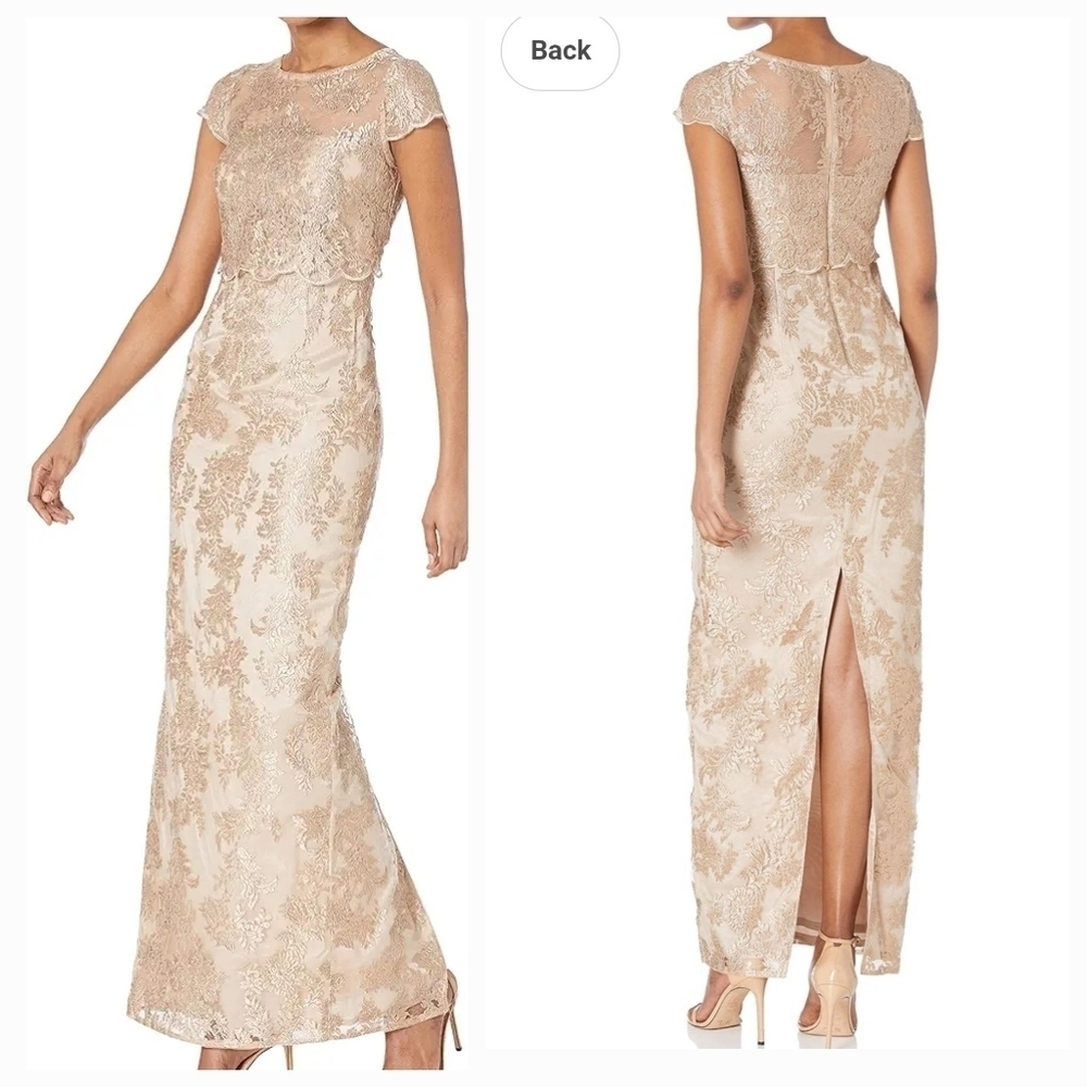 Adrianna Papell - Brand New - NWT Still in the bag - Dress Size 10P